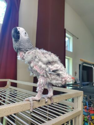 4 years at FTB; $62,000