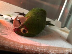 Billy: 6+ years at FTB; $79,000