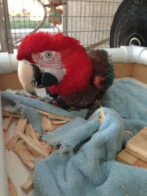 Boomer: 4.5+ years at FTB; $105,000 boomer