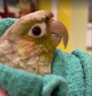 Guido: 11+ months at FTB; $15,000