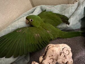 Lilac: 1.5+ years at FTB; $14,000