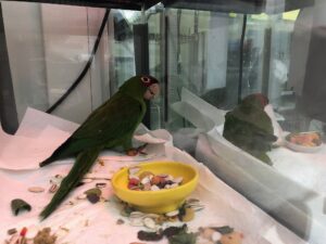 Rico: 5.5+ years at FTB; $70,000